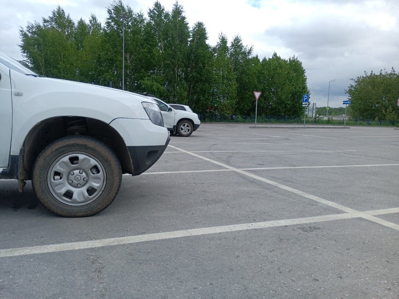 Renault Duster: фото владельца