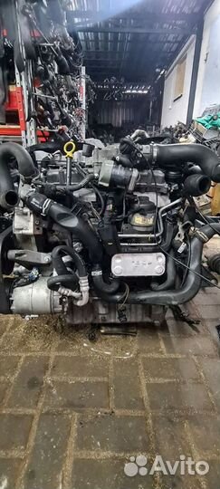 Двигатель y22dth Opel Omega 2.2 diesel