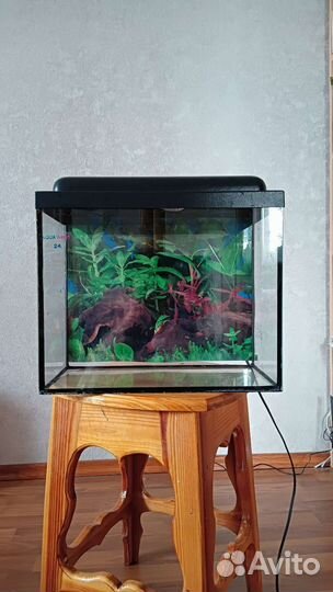Аквариум