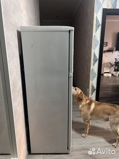 Холодильник атлант