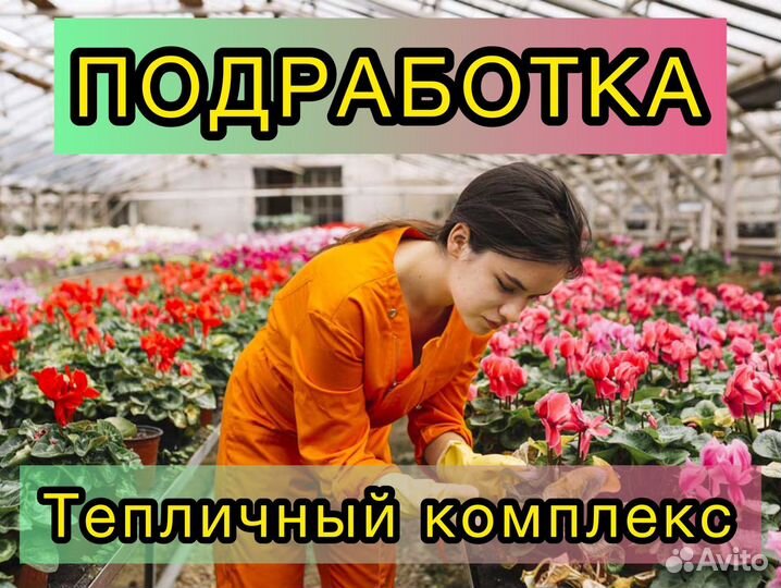 Упаковщик/Упаковщица цветов Подработка Теплица