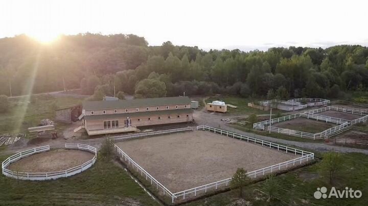 Постой для лошадей. Выпасы