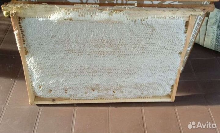 Мед в сотах