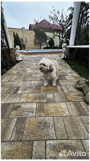 Тротуарная от производителя по ГОСТ