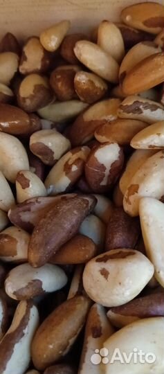 Бразильский орех свежий(прайс в описании)