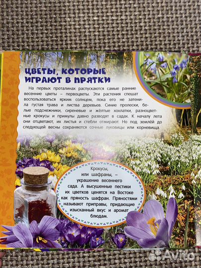 Энциклопедия