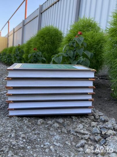 Коты Воители 1 цикл шесть книг