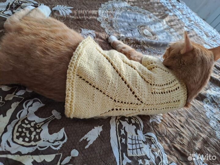 Одежда для котика (шапочка/кофта/туника)