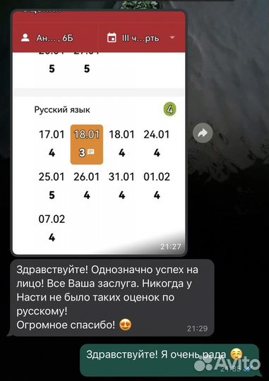Репетитор по русскому языку,впр,огэ,егэ