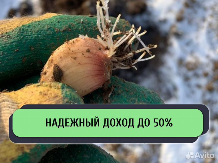 Привлекаем инвестиции в действующий бизнес