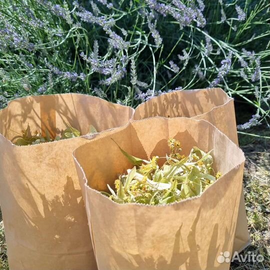 Липовый цвет