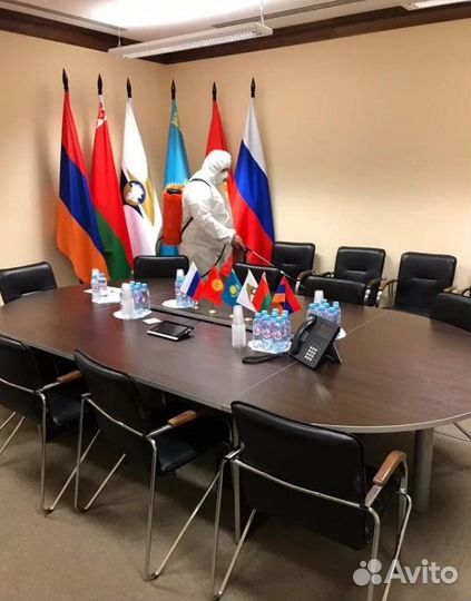 Уничтожение клопов тараканов блох грызунов плесени