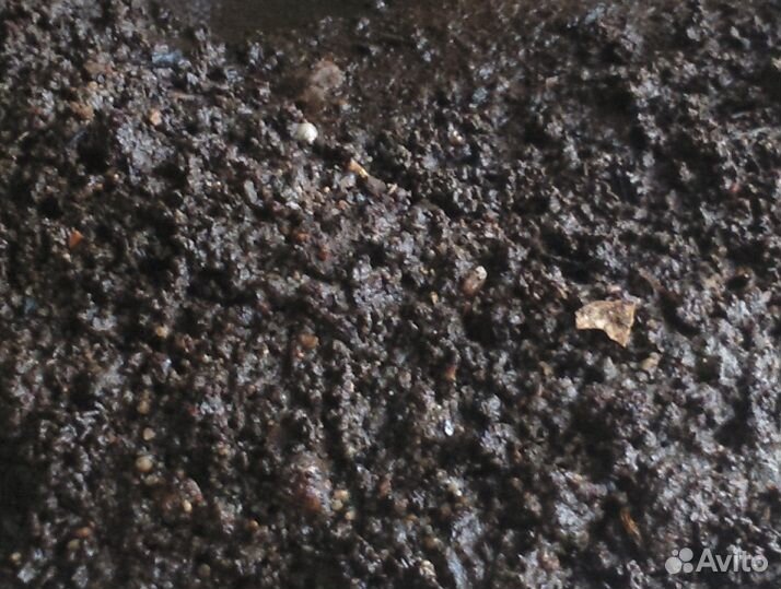 Цветоводам