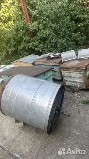 Медогонка, улики