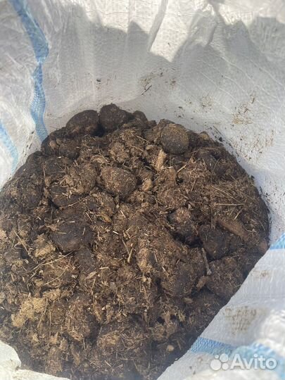 Навоз конский в мешках