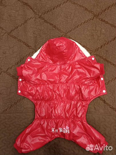 Зимняя куртка для собаки