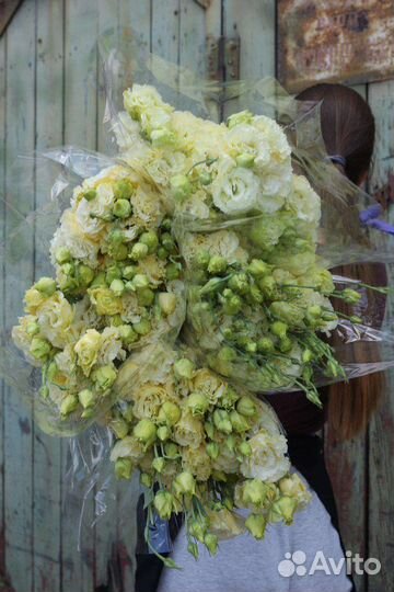 Срезка эустомы