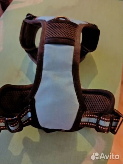 Шлейка для небольшой собачки