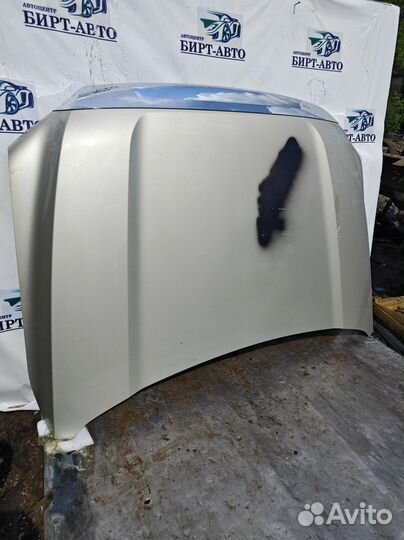 Капот Tank 500 I (2022—2024)