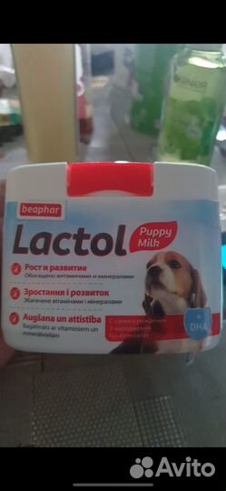 Заменитель сучьего молока