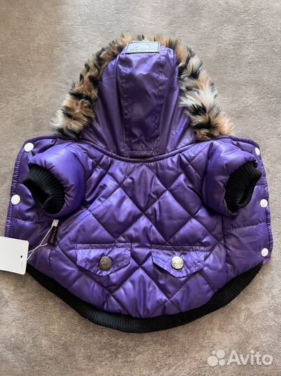 Одежда для маленьких собак