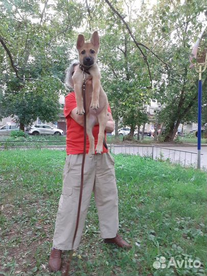 Мальчик, 4 месяца