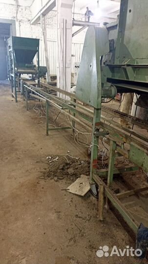 Линия посадки тюльпанов linnea