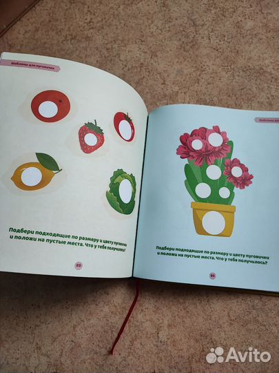 Развиваем мозг ребенка Шамиль Ахмадуллин 2-3 года