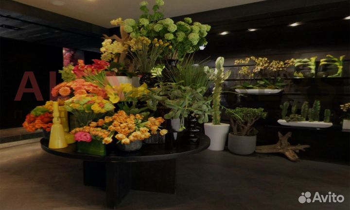 Перспективный салон цветов около метро