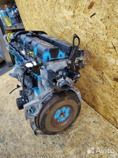 Двигатель Ford Focus 2 1.6 100лс