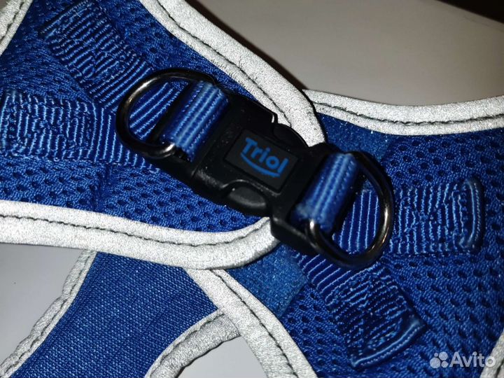 Шлейка для маленькой собаки