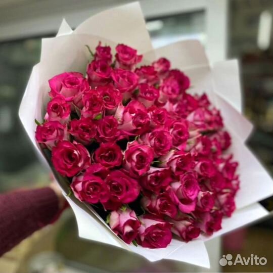 Розы кения 51