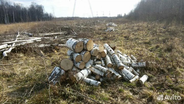 Дрова для дома и бани