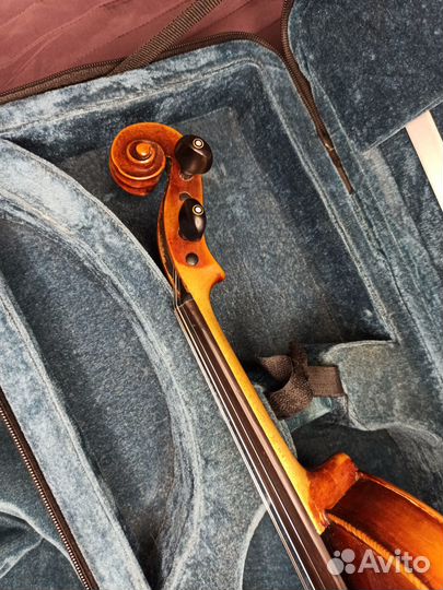 Скрипка 4/4, Германия