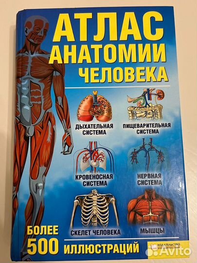 Атлас анатомии человека