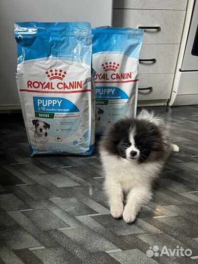 Корм для собак royal canin puppy
