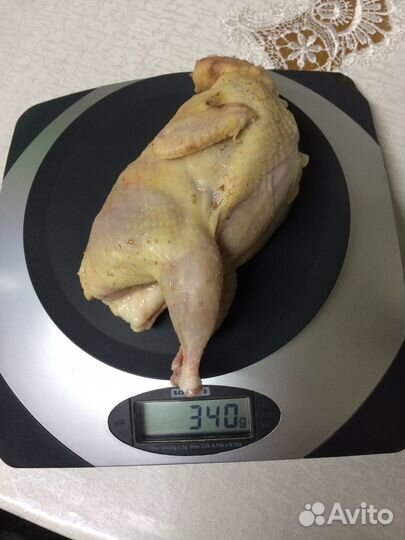 Продаю перепелов