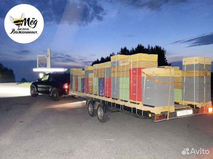 Мед свежий 2023. Гречишный, липовый, акациевый