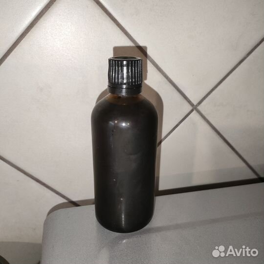 Болиголов