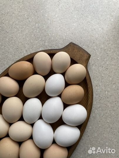 Домашние куриные яйца