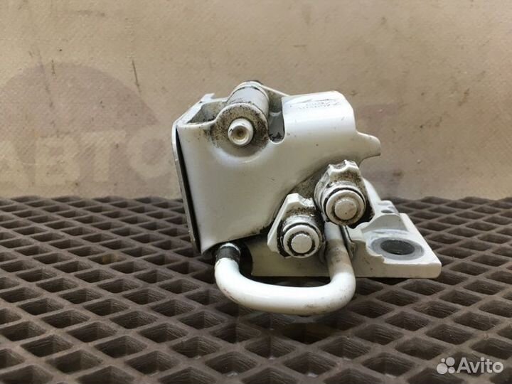 Петля двери задняя правая Volkswagen Passat B7