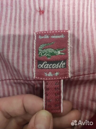 Мужские брюки Lacoste