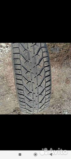 Tigar Ice 205/60 R16