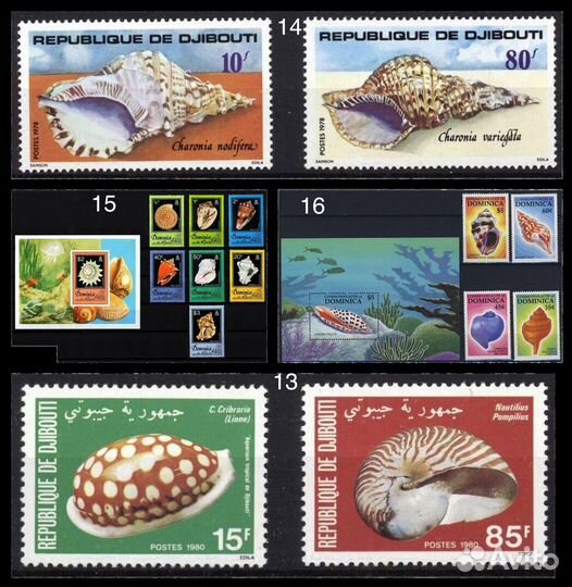 Марки по теме морская фауна раковины, моллюски 1