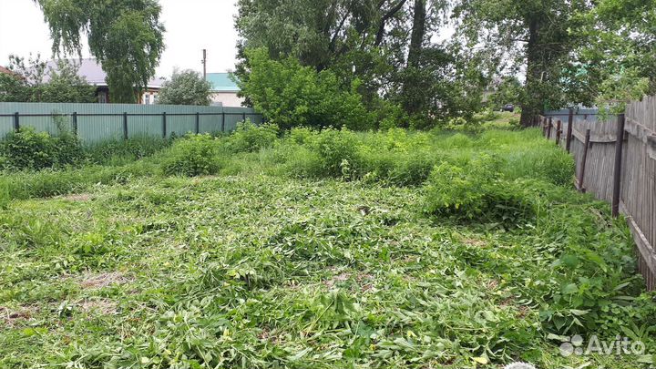 Покос травы тримером