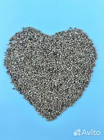 Горчица Желтая / Семена горчицы