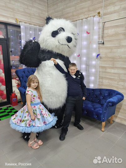 Поздравление мишки и панды