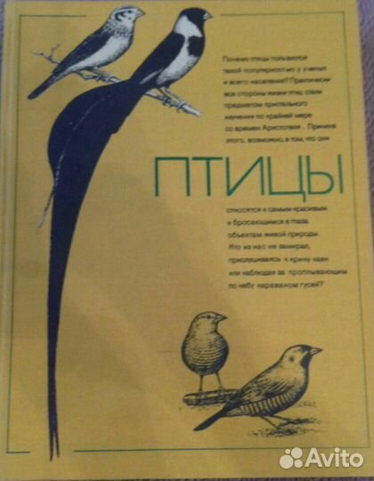 Энциклопедии для детей