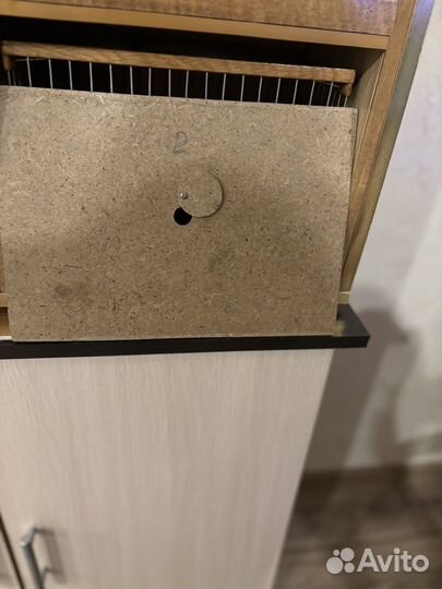 Переноска для птиц