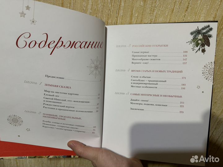 Книга В.С. Ильина 